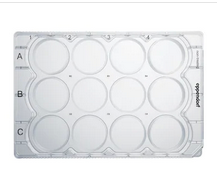 德國艾本德(Eppendorf)Cell Culture Plates,12-Well,無菌無熱原,無RNase和DNase,無人類和細菌DNA,無細胞毒素,未處理,2mL,60塊,獨立包裝