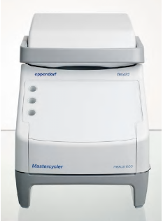 德國(guó)艾本德（Eppendorf）Mastercycler? nexus eco梯度 PCR 儀